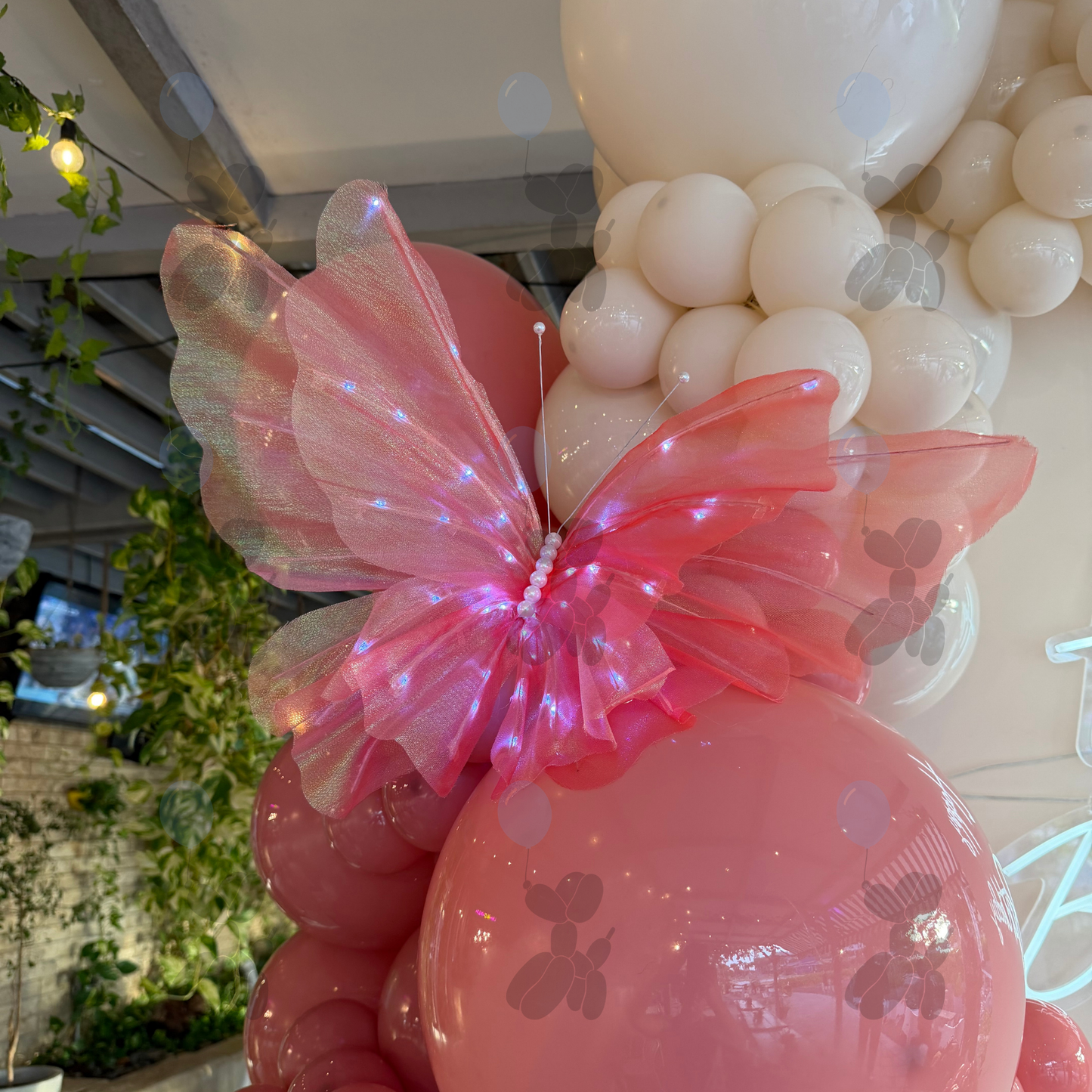 Butterfly Birthday