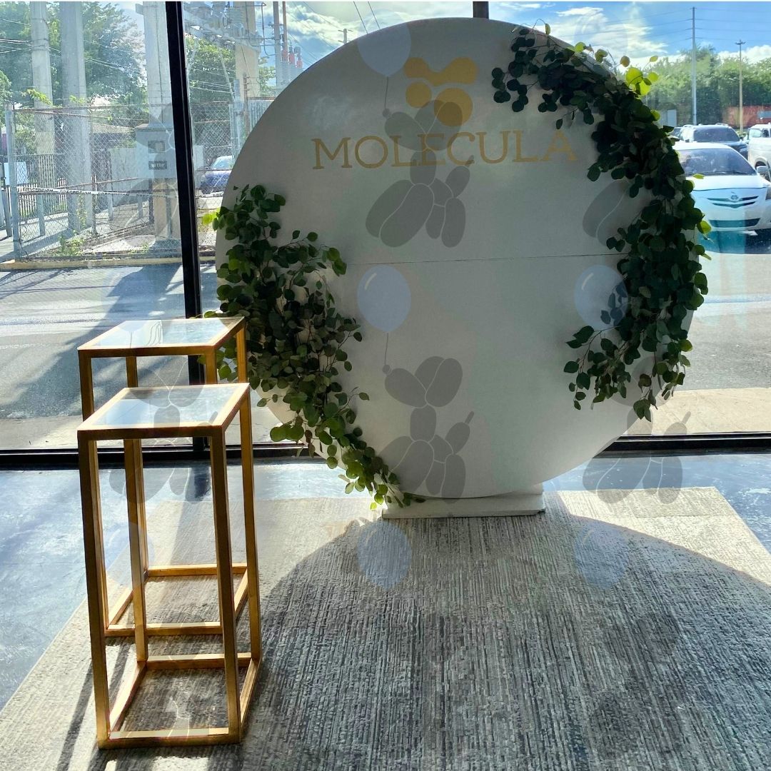 Molécula Salon