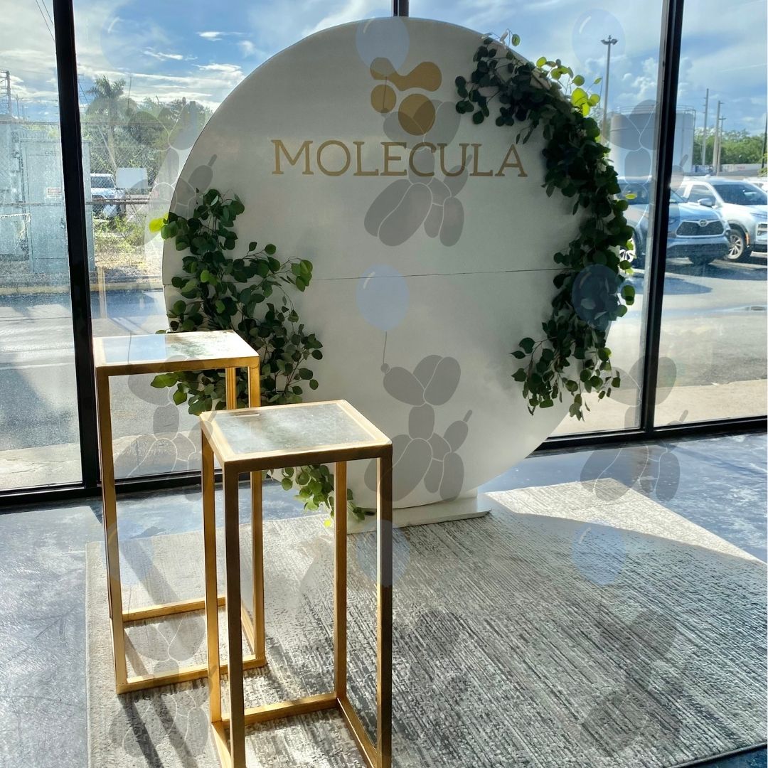 Molécula Salon