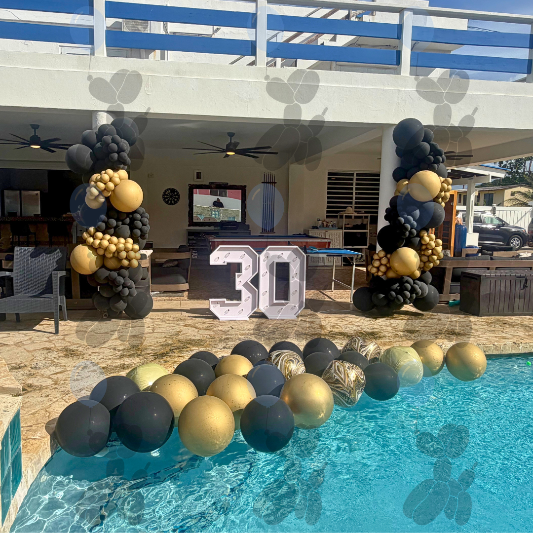 Black & Gold Elegance