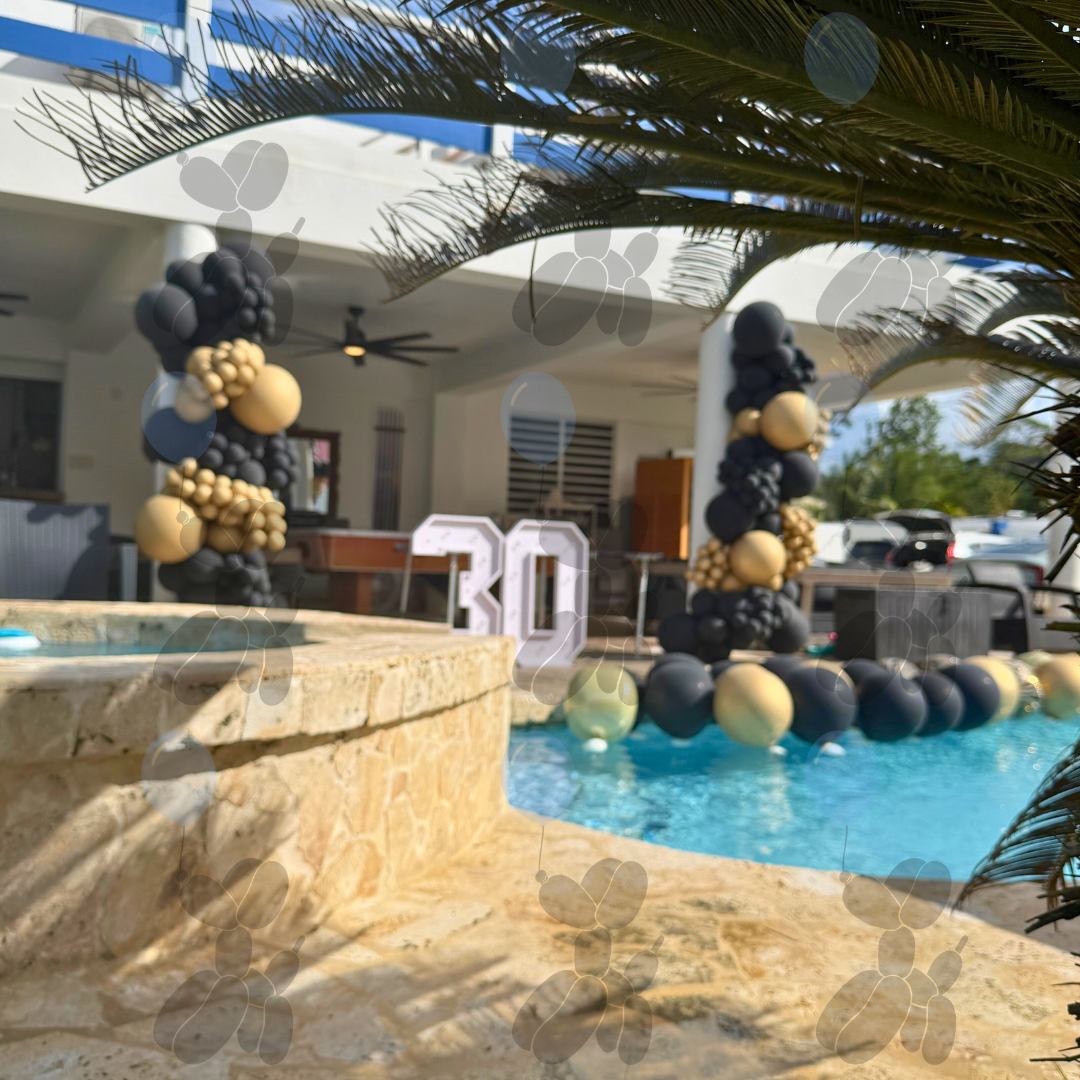 Black & Gold Elegance