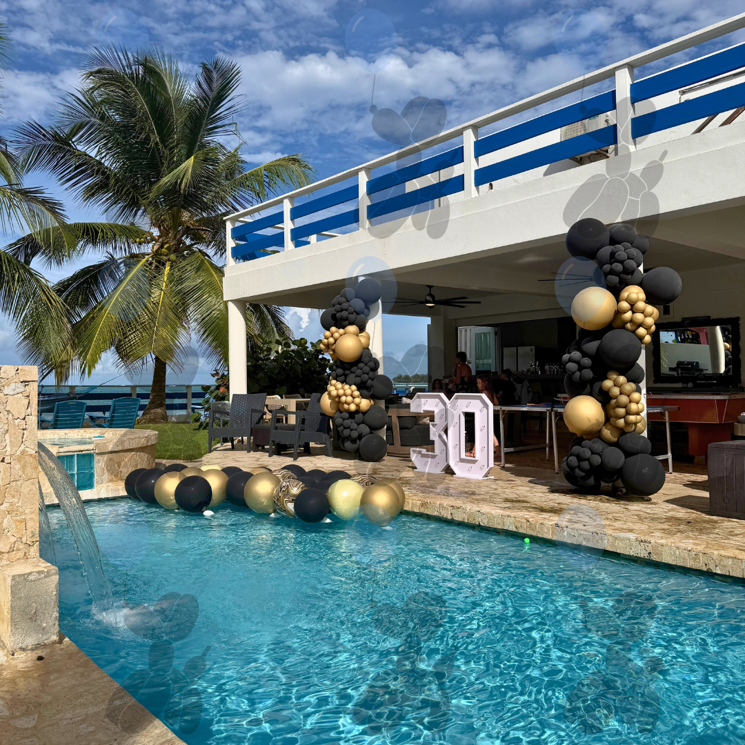 Black & Gold Elegance