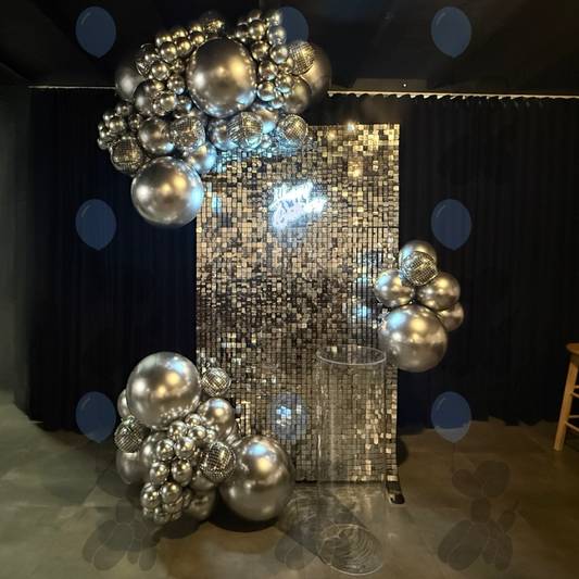 Timeless Style - Silver Disco